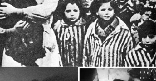 THE GIRL WHO DEFIED MENGELE: Dita Kraus (14-Year-Old) – Auschwitz’s Secret Librarian Whose Silent Rebellion Shamed the Nazis