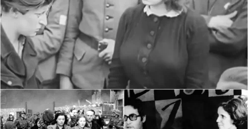 WHEN A SLAP BECAME A SYMBOL: The Moment a Jewish Mother Slapped the Face of the Nazi Who Killed Her Son - A MOTHER'S REVENGE That Humiliated Him Before the Entire World