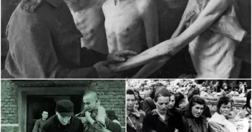THE IRON CURTAIN OF DECEIT: When the Red Army entered Auschwitz, they confronted a hell on earth that no intelligence agency could have prepared them for—over a million souls had vanished, leaving only ashes and 7,000 ghosts.