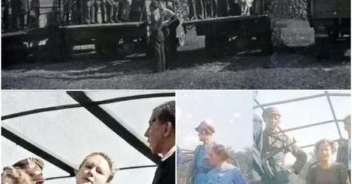 FROM WHISPERS OF FEAR TO CRIES OF AGONY: The Violent End of the 6 Vile Women of Stutthof Whose Very Names Struck Paralizing Fear Into Their Victims. hm
