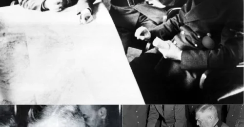 FROM HITLER’S RIGHT HAND TO THE GALLOWS: The Shocking Fall and Painful Death of Field Marshal Wilhelm Keitel – The General Who Obeyed Until His Last Breath 7