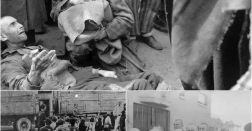 THE FORGOTTEN GAY VICTIMS OF THE NAZI HELL: The Horrific Medical Experiments AND Brutal Persecution, Systematic Torture of Gay Men in Nazi Germany