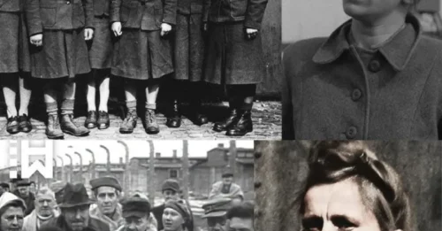 FROM POWER TO THE GALLOWS: The True Story of Elisabeth Volkenrath – “The Auschwitz Hyena” Who Faced Justice in 1945 (7)