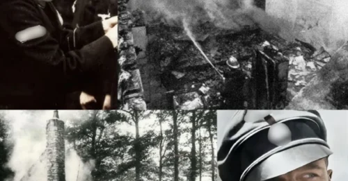 THE SS COMMANDER WHO LEFT 1,000 DEAD FOUND A FIERY END: Joachim Peiper’s Double Life of Brutality, Denial, and Defiance 7