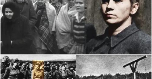 MONSTER WITH THE NICKNAME “THE AUSCHWITZ HYENA” : The Unspeakable Sadism of Elisabeth Volkenrath – How a Female Guard's Whim Sealed the Fate of Over 13,000 Innocent Souls.