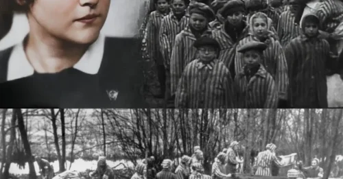 THE PRICE OF BEAUTY IN HELL: How a Female Guard’s Envy Doomed the Most Beautiful Jewish Girl of Auschwitz 7