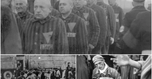 A PACT OF BLOOD AND SUFFERING: The Systematic Erasure and Horrific Medical Experiments on Homosexuals That Became the Nazi's Most Chilling Legacy of Hate.