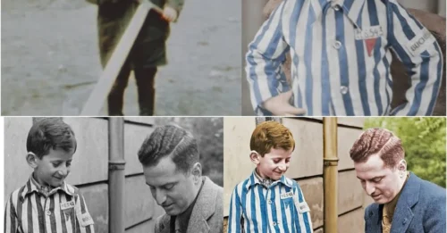 THE CHILD THE NAZIS COULDN’T KILL: Joseph Schleifstein (4 Years Old) – The Youngest Prisoner of the Concentration Camp and the Nine-Month Hide-and-Seek Game That Humiliated the Nazi Killing Machine.