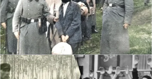 THE SCREAMS OF 60,000 POLISH SOULS ECHOED AT THE FIRING SQUAD: The Horrific Execution of Cowardly Nazis Begging for Mercy After Carrying Out Operation Intelligenzaktion - Massacring Poland's Intellectuals and Elite