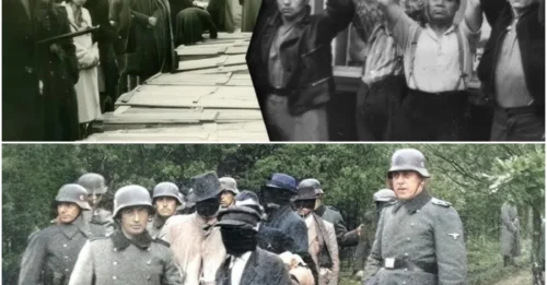 THE SILENCE AFTER THE GUNFIRE: How 60,000 Vanished Polish Voices Were Avenged as Their Nazi Executioners Begged for a Mercy They Never Showed. hm