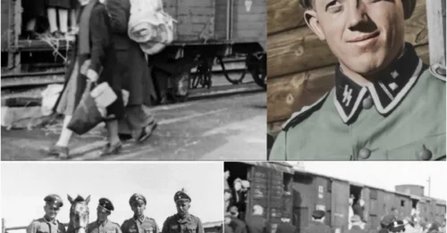 THE DAY A NAZI LEARNED COWARDICE: Rudolf Beckmann - The Nazi Beast of Sobibor Screamed in Fear When Killed by His Jewish Victims as They Rose Up Against the Concentration Camp