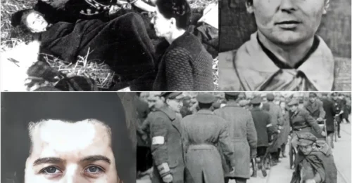 THE MOTHERS' REVENGE AGAINST THE MOST EVIL 