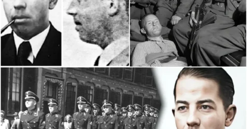 DOCTOR BY DAY, NAZI KILLER BY NIGHT: The Secret Double Life of Dr. Gerrit Kastein – The Genius Who Used His Scalpel to Save Lives and His Wits to Shatter the Nazi War Machine. hm