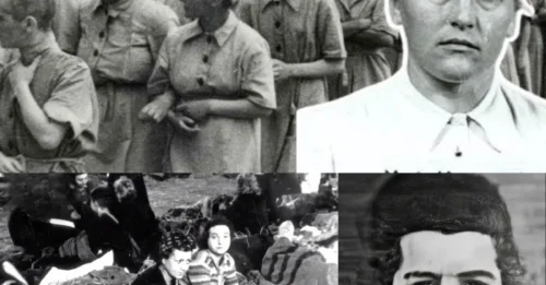 THE MOTHERS’ JUSTICE AGAINST THE CRUELEST “WITCH” OF THE NAZI CAMP: The Final Trembling Moments of Elsa Ehrich Pleading for Mercy – The Female SS Guard Who Tormented Children Before Their Mothers’ Eyes 7