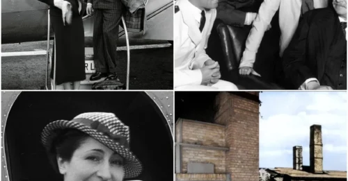 BEAUTY AS A DEATH SENTENCE: The Chilling Demise of Elisabeth de Rothschild – When Noble Blood and Stunning Beauty Meant Nothing in the Face of Nazi Brutality. HM