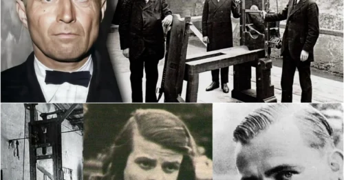 THE BLOODY LEGACY OF THE NAZIS’ MOST FAMOUS EXECUTIONER: Johann Reichhart – The Executioner Who Beheaded 3,000 People, Sophie Scholl Also Died by His Hand