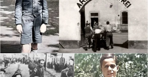 THE 12-YEAR-OLD JEWISH BOY'S NAZI REVENGE: Zvi Cohen's Journey from Nazi Torture in Berlin to Miraculous Survival and Famous Life Rebuilding in Theresienstadt
