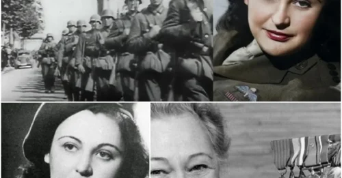 WHEN HER BARE HANDS BECAME A WEAPON: Nancy Wake – The Famous Nickname “THE WHITE MOUSE” Known as Europe’s Most Dangerous Woman Who Made the Nazis Surrender hm