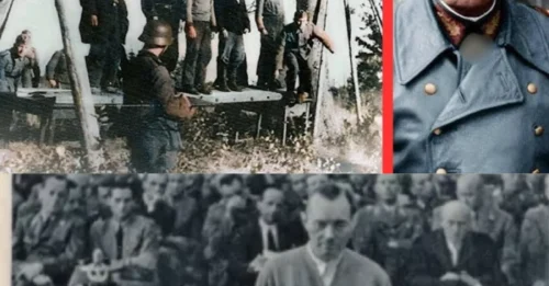 THE MEAT HOOK AND THE PIANO WIRE: The Degrading Execution of Erich Hoepner – Filmed for the Führer’s Pleasure 7