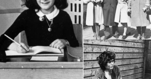 Behind the Famous Diary Lies a Story of Terror Without Words: Anne Frank's Final Journey to Death in the Concentration Camp
