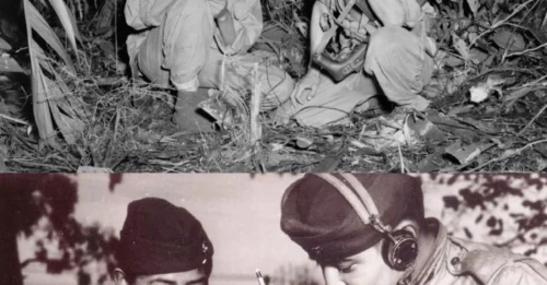 The Shocking Secret Behind the Victory: Whispers in a 'Ghost' Language Drove the Enemy Insane.