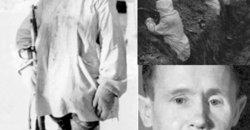 500 Kills in 98 Days: The True Story of “White Death” — The World’s Deadliest Sniper You’ve Never Heard Of 7
