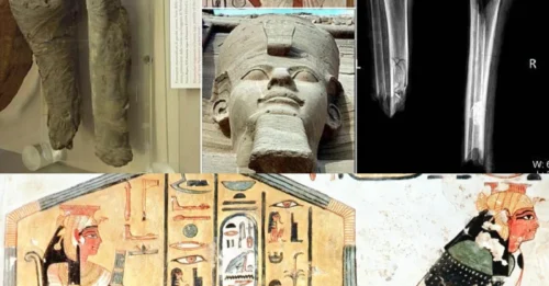 Nefertari's 