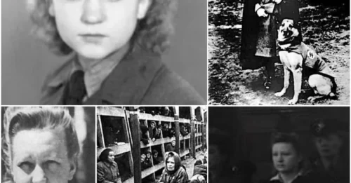 BEAUTY AND THE BEAST IN ONE SS UNIFORM: The Short, Savage Life of Dorothea Binz– Executed at 27 for Crimes Too Horrific to Name.