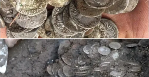 Million-Dollar Treasure Under the Plow: Amateur Strikes Gold with 2,000 Roman Coins, A Fairy Tale in a Farmer's Field