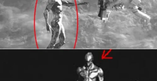 The shocking truth: 10-Foot Alien Beings and UFOs Witnessed by Astronauts on Secret Space Missions