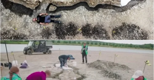 “Incredibly rare” 180-million-year-old giant “sea dragon” fossil discovered in the U.K shocks netizens