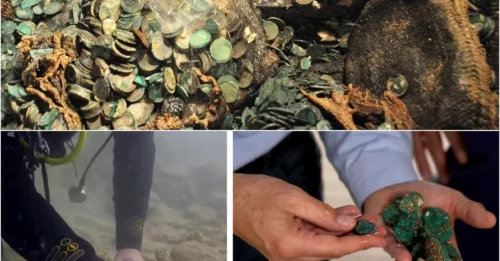 The Curse of the Caesarea Coast: Shocking Discovery of Two Ghost Shipwrecks with a 1,800-Year-Old Treasure and the Secret of the Sacred Ring