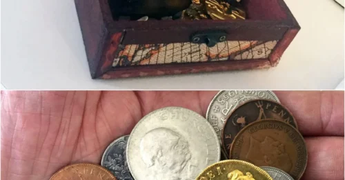 Son's Toy Chest Suddenly Becomes 300-Year-Old Royal Treasure: 35-Year-Old Worker Screams in Shock Upon Discovering Unimaginable Fortune