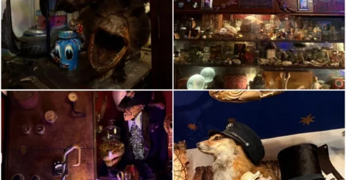 WHEN BEAUTY AND DISGUST BECOME ONE: Inside Trundle Manor, The Pittsburgh Museum Packed With Macabre Curiosities