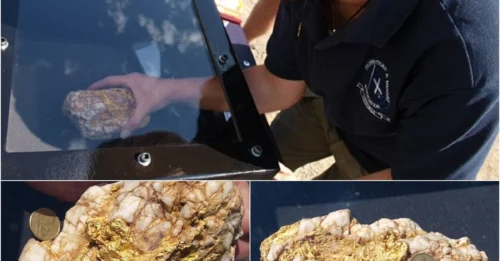 A Discovery That Shook the Treasure-Hunting World: Man Breaks Down in Tears After Unearthing a 5kg 'Gold Monster' Worth Nearly $200,000, Changing His Life in an Instant!