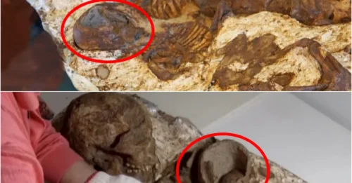 The 4,800-Year-Old 'Embracing' Fossils: The Heartbreaking Story Behind the Stone That Moved the World