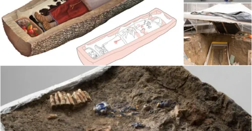 The mystery of the woman in the tree trunk: Archaeologists have just excavated a strange tomb where a Celtic noblewoman rested for 2,200 years