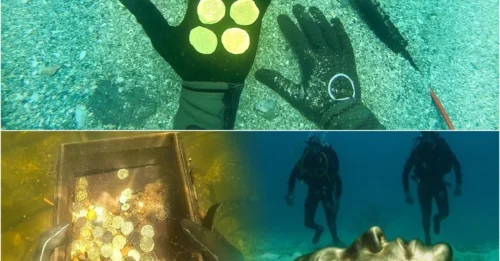 An Unbelievable Scenario: Divers Encounter a 'Massive Treasure' from a Sunken Ship Holding Up to 300 Artifacts in Florida