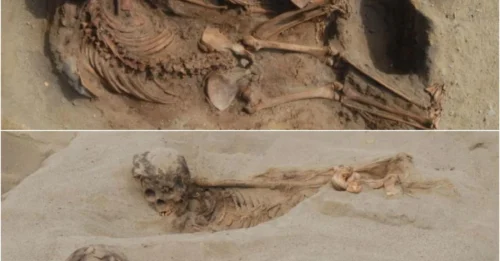Not One, But 140 Young Lives: Massive Child Sacrifice Ritual Unearthed in Ancient Peru Sends Shockwaves Through the Archaeological World