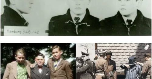 Helmuth Hübener - Seventeen and Fearless: The Guillotine's Fall for the Youngest Resistance Fighter Sentenced to Death by the Nazis