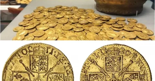 The Secret Beneath the Floorboards: A 400-Year-Old Vase and the Treasure That Changed a North Yorkshire Family's Life Forever