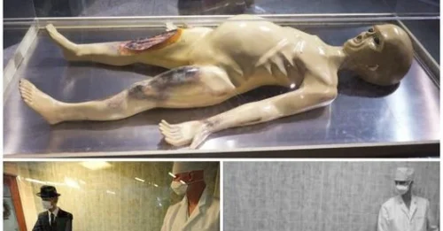 Viral Video of Aliens in Laboratory Sparks Global Frenzy