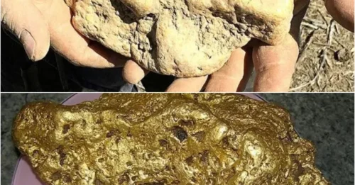 The treasure hunter was stunned when he found a giant nugget of gold right underground and it could be worth a LOT of money, so he panicked and hid it in the oven