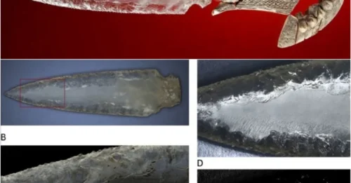 MYSTERY SOLVED: Archaeological Dig in Spain Unearths Prehistoric 'Crystal Weapons'
