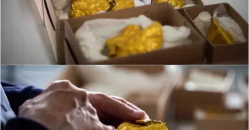 A 1,500-Year-Old Curse of Wealth, Hidden Beneath the Floorboards! This Lucky Man Dug Up a 'Dream Hoard': The Lost Gold of a 6th-Century Patriarch.