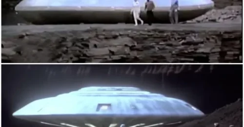 The great mystery about aliens: Precious images recorded by people about the sudden appearance of aliens
