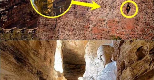 An Underground City Full Of Giant Skeletons Discovered In The Grand Canyon
