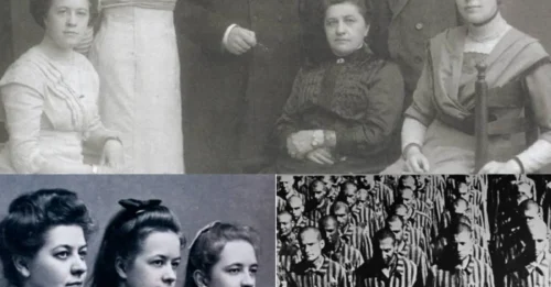 Unveiling History's Secret Room: The Female Watchmaker and Her Mission to 