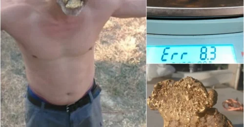 Sparkling gold! Lucky treasure hunter finds a steak-sized nugget worth $70,000 in a small California town preparing for a gold rush