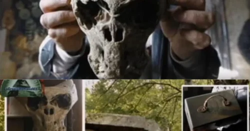Discovered A Chest Containing Two Skulls Believed To Be Of Extraterrestrial Origin In Northern Siberia